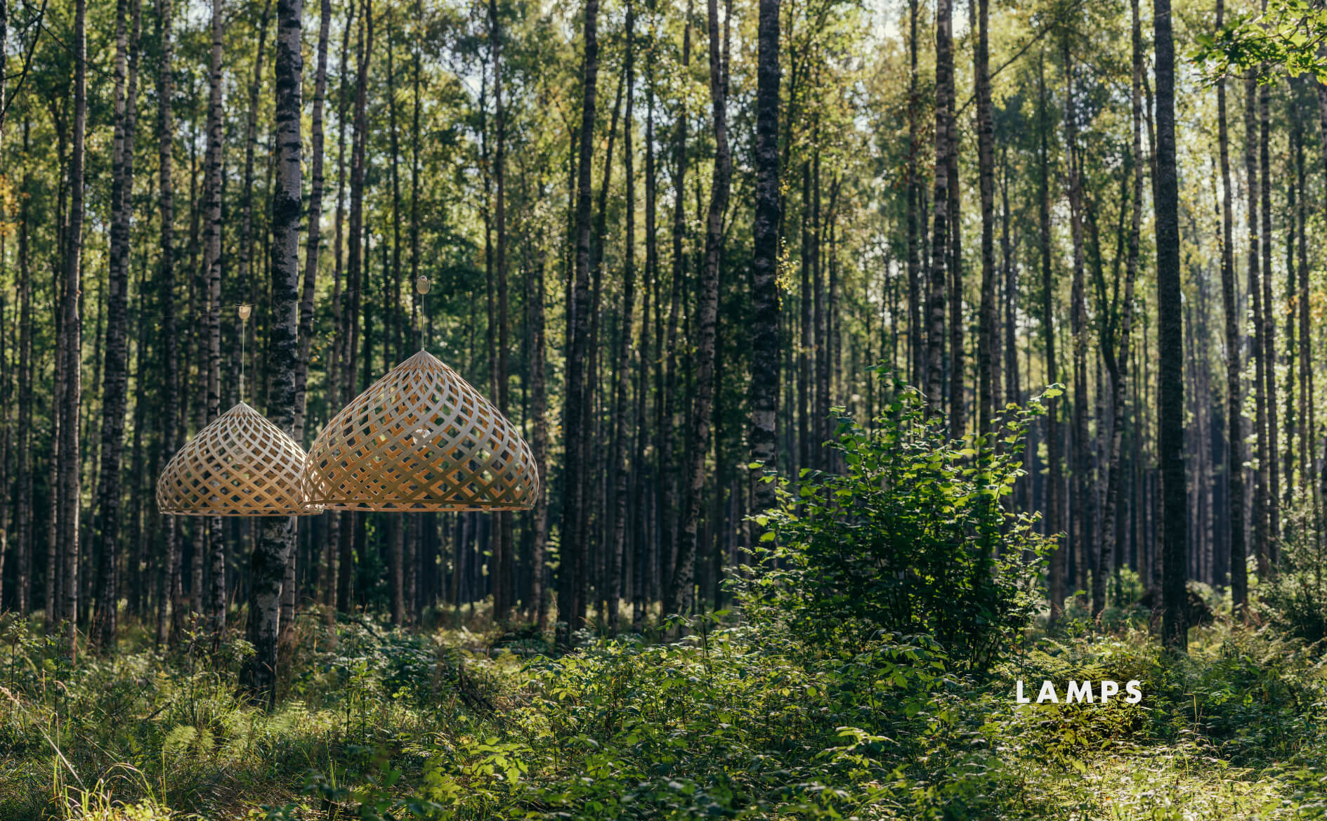 Jaanus Orgusaar catalogue